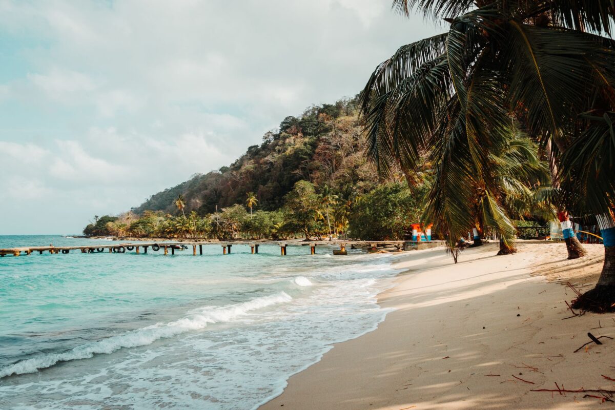 Scenic view of a tropical beach with palm trees and a pier in La Miel, Panama.